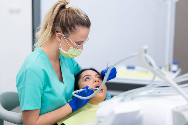 Best Emergency X-Rays and Diagnostics in Caddo Mills, TX